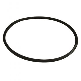O rings - C00311339 481253058141 Ring [Whirlpool Indesit]