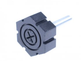 Foot - 1015806 Adjust Screw [Amica]